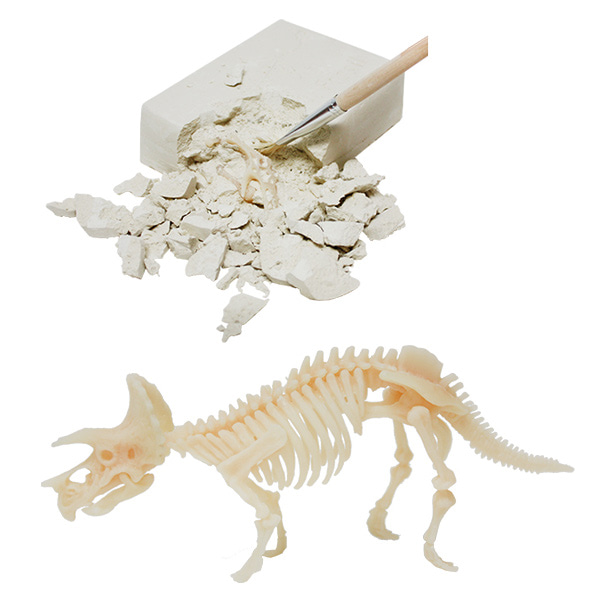 3D 조립형 공룡화석 발굴키트
